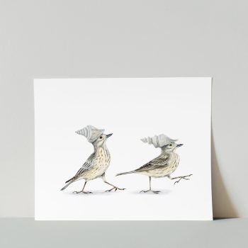 American Pipits Print