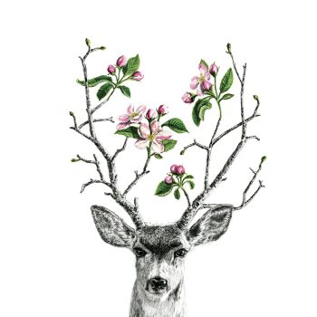 Apple Blossom Deer Print