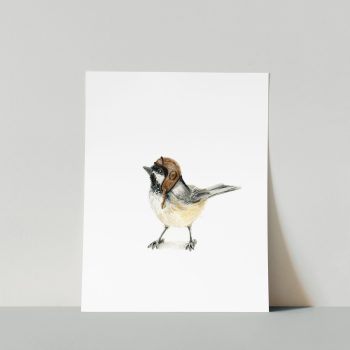 Aviator Chickadee III Print