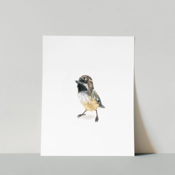 Aviator Chickadee II Print