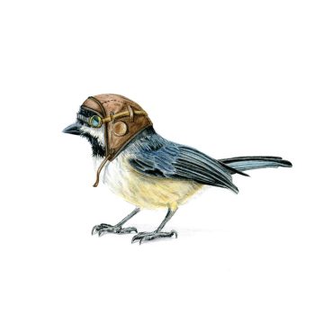 Aviator Chickadee I Print