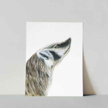 Badger Print