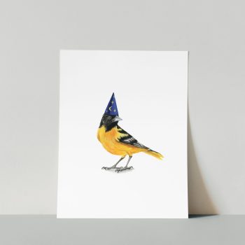 Baltimore Oriole Print