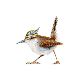 Bewick’s Wren Print