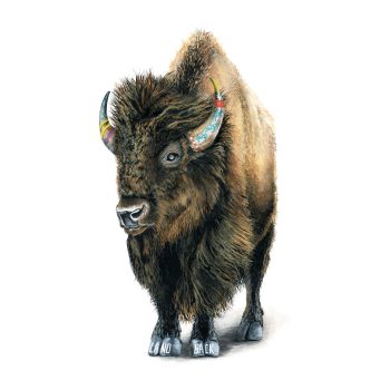 Bison II Print
