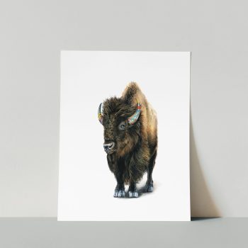 Bison II Print