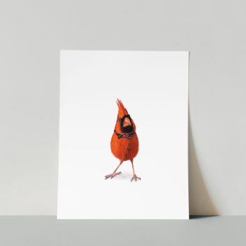 Cardinal I Print