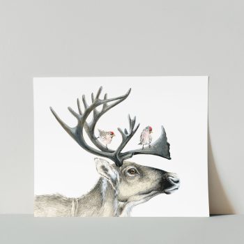 Caribou & Redpolls Print