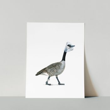 Coned Canada Goose Print