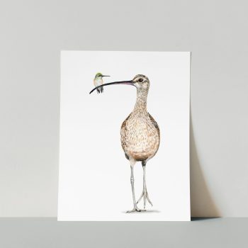 Curlew and Hummingbird Print
