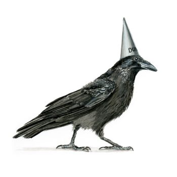 Dunce Crow Print