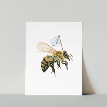 Fiercely Fragile Print