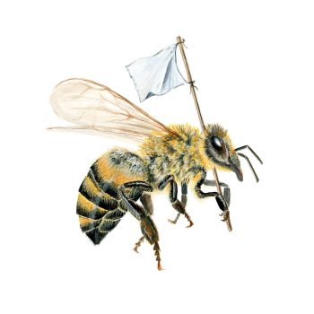 Fiercely Fragile Print