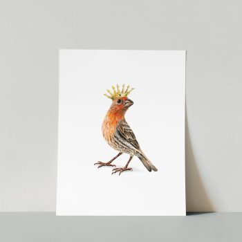 Finch King Print