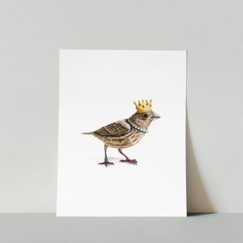 Finch Queen Print