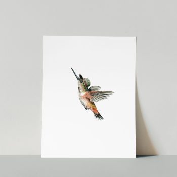 Flying High Hummer Print