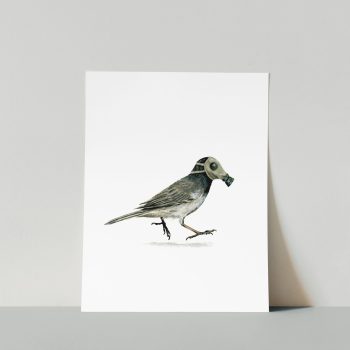 Gasmask Junco I Print