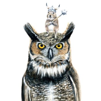 Great Horned Owl Print