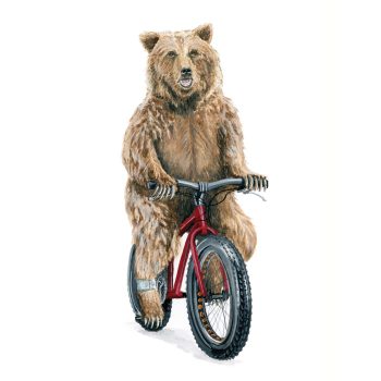 Griz on a Fat Tire Bike Print