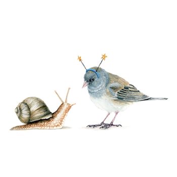 Junco and Snail Print