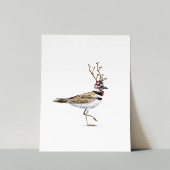 Killdeer Print