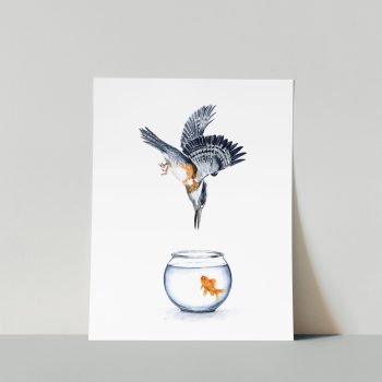 Kingfisher Print