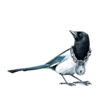 Magpie Lock & Key II Print