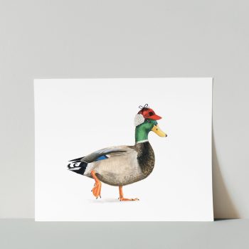 Mallard Print