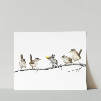 Marsh Wrens & Field Mouse Print
