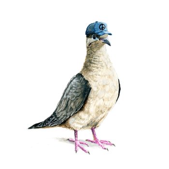 Modern Mourning Dove Print