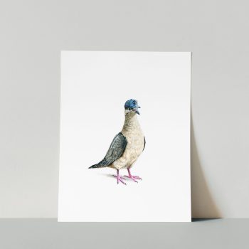 Modern Mourning Dove Print