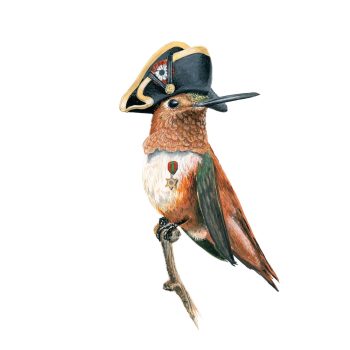 Napoleon Hummer Print