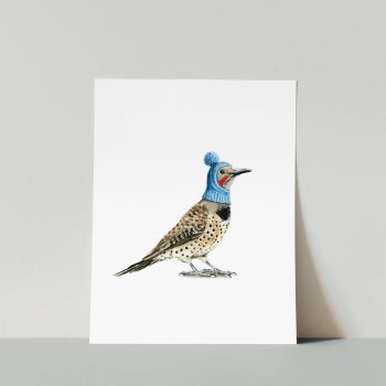 Northern Flicker Print