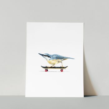 Nuthatch Skater Print