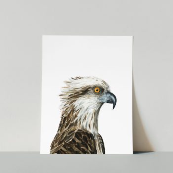 Nuthatch Skater Print