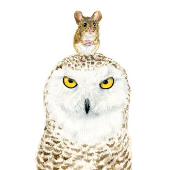 Owl & Mouse Print