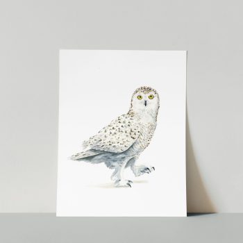 Owl Walk Print