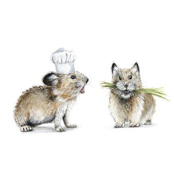 Pelican & Chickadee Print