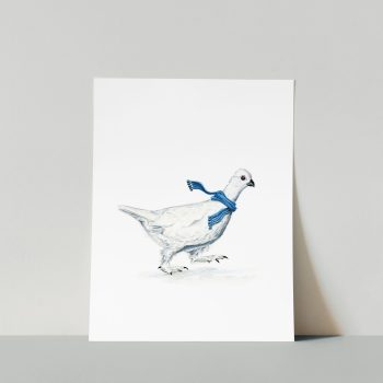 White-Tailed Ptarmigan Print