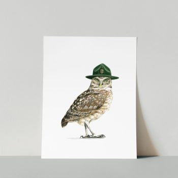 Ranger Owl Print