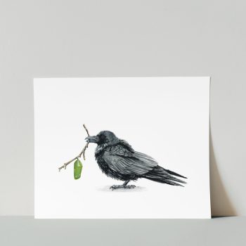 Raven and Monarch II Print