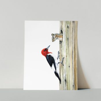 Red-headed Woodpecker & Chipmunk Print