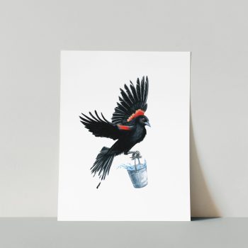 Red-Singed Blackbird Print