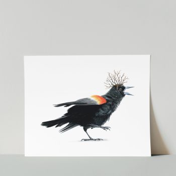 Red-winged Blackbird I Print