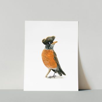 Robin the Pirate Print