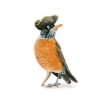 Robin the Pirate Print