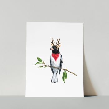 Rosy Grosbeak Print