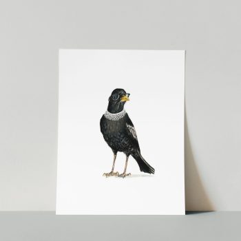 Ruth Bader Ginsbird Print