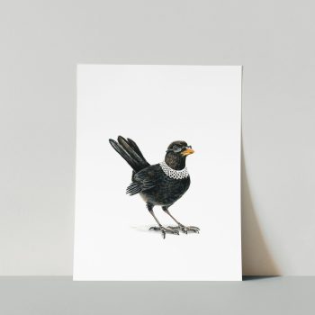 Ruth Bader Ginsbird II Print