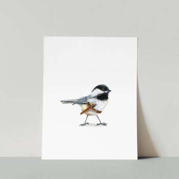 Sharp Chickadee Print